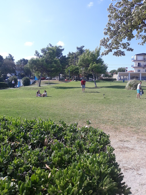 freebeach3
