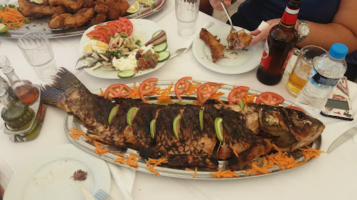 λιόγερμα2