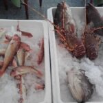 Face Restaurant