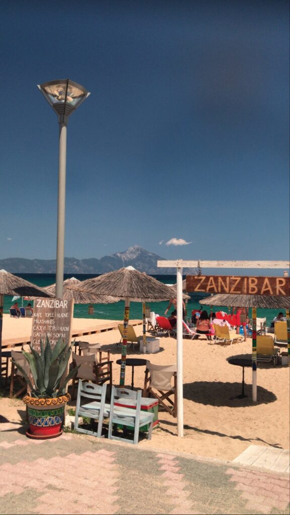 zanzi1