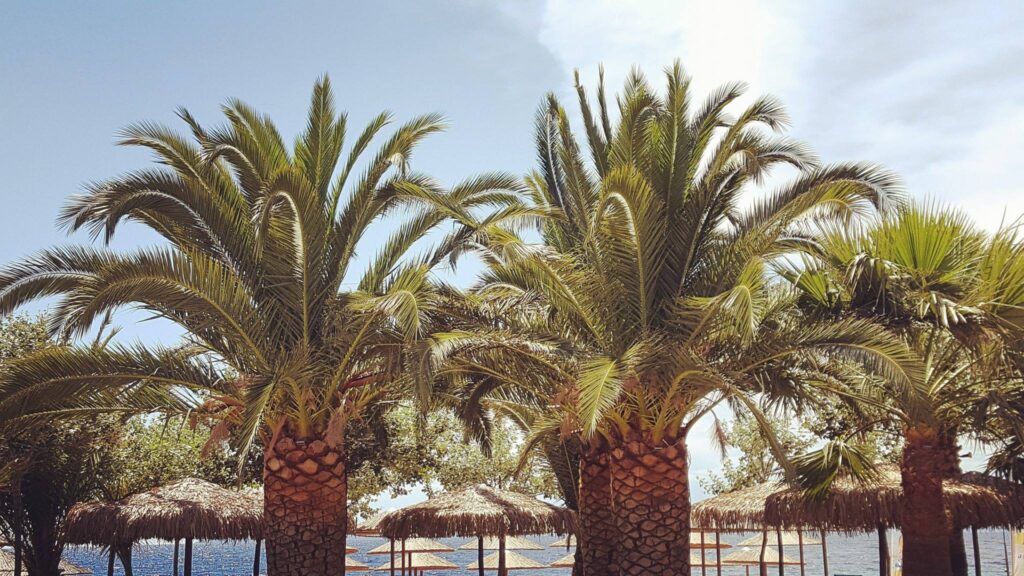 Corso Beach Bar Toroni