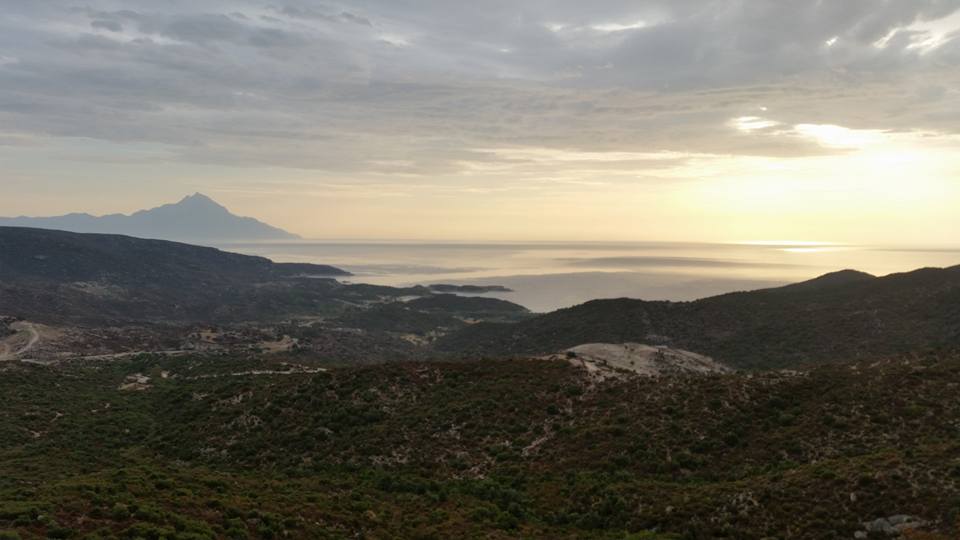 zorbas3