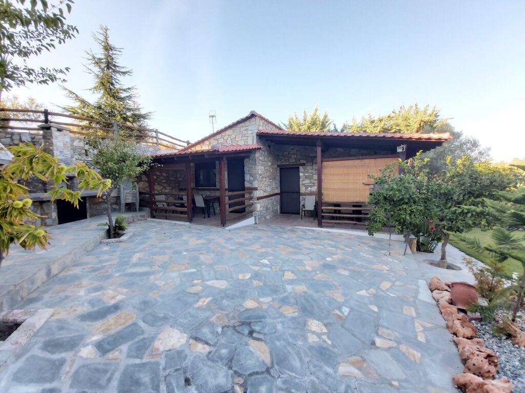dimitris1