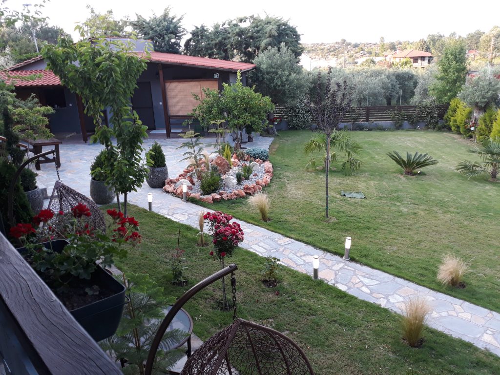 dimitris3