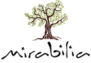 Mirabilia Boutique Hotel