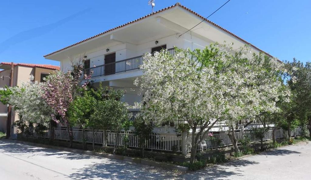 P.A.G Apartments