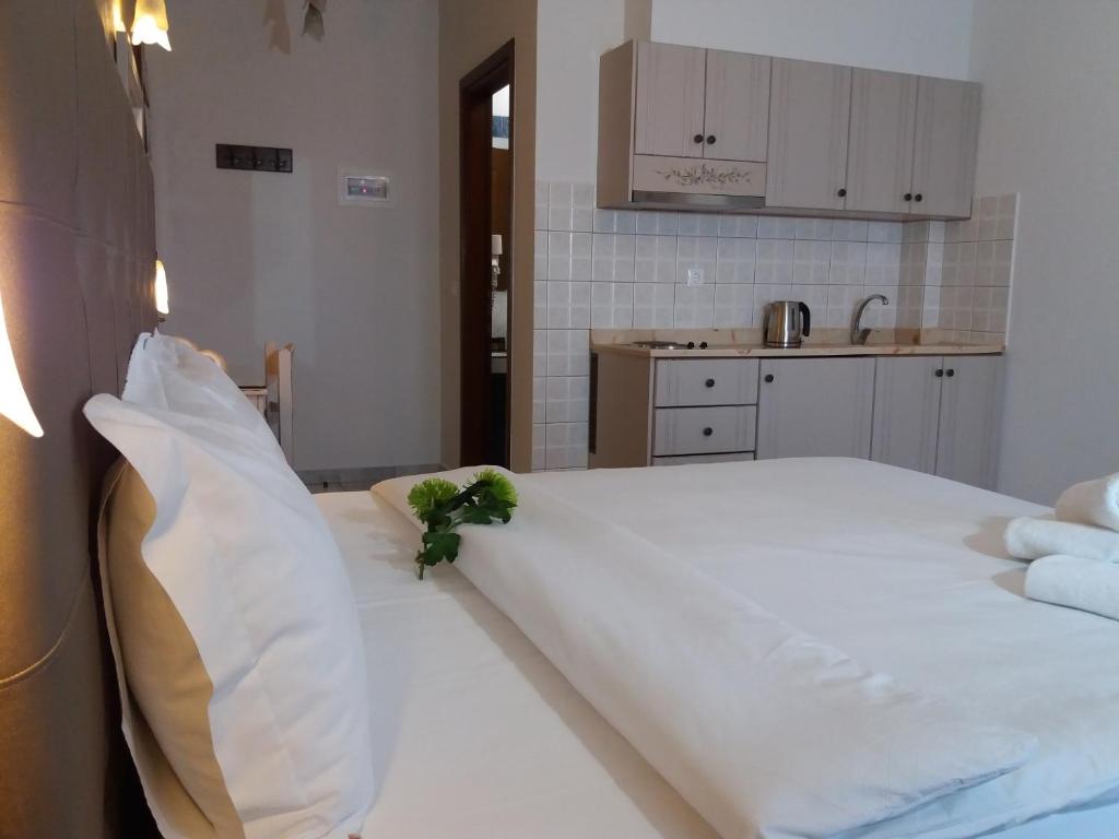 Pansion Irini5