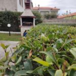 Elina House